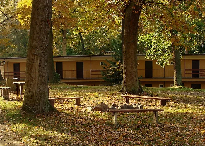 Prázdninový areál Lesna Przystan Iława